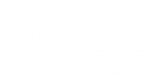 Witte Sneakers Logo WIT v11 220px